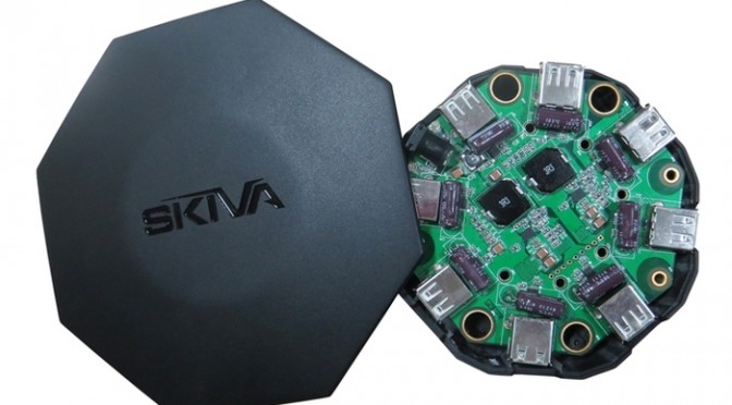 SKIVA-672x372