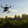 drone planting trees