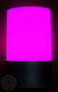 EC Table Lamp - Purple