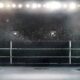 Are YouTubers and exhibition bouts ruining the reputation of boxing?
